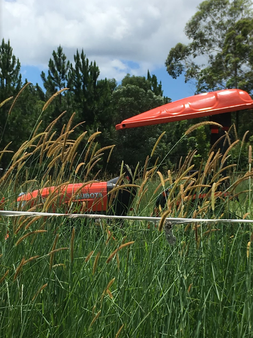 Residential Mowing Sunshine Coast