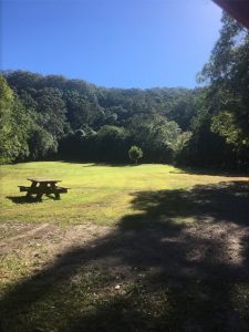 Lawn Mowing Caloundra