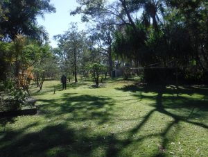 Sunshine Coast Garden Maintainance